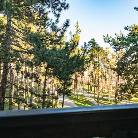 Apartment боров рай Velingrad