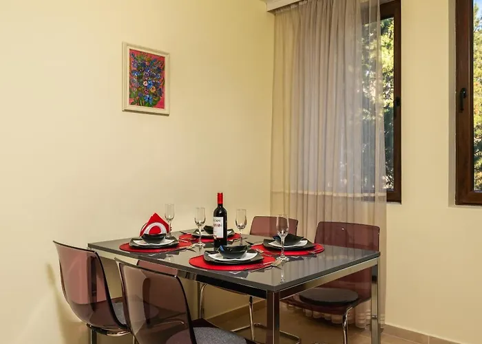 боров рай Velingrad