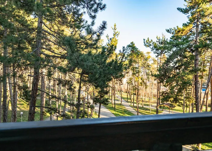 Apartment боров рай Velingrad