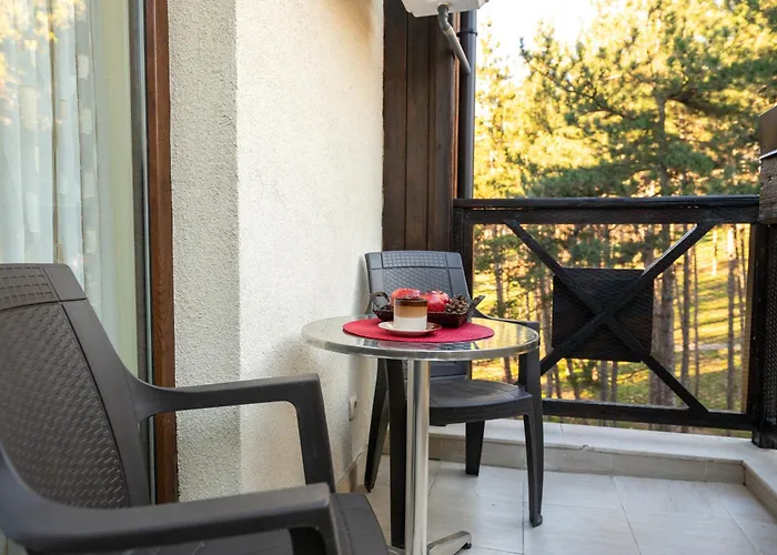 боров рай Velingrad