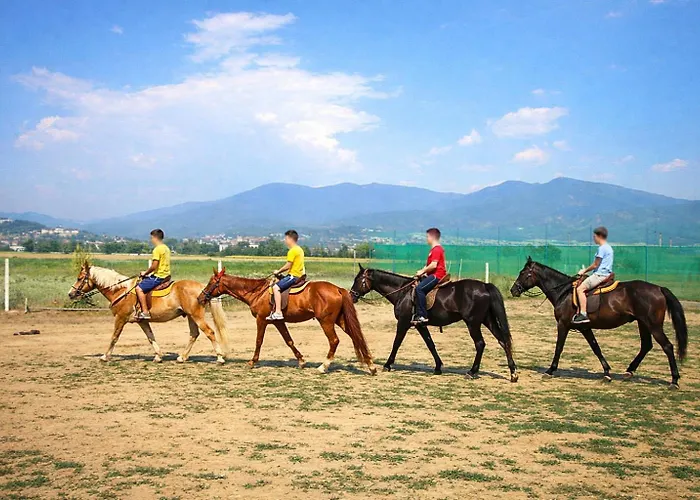 боров рай Apartment *